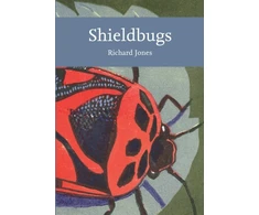 KNYGA Richard Jones Shieldbugs