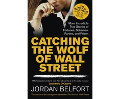 KNYGA Jordan Catching the Wolf of Wall Street