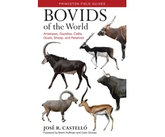 KNYGA Jos R Castell Bovids of the World