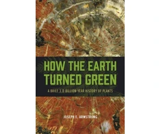 KNYGA Joseph E Armstrong How the Earth Turned Žalias