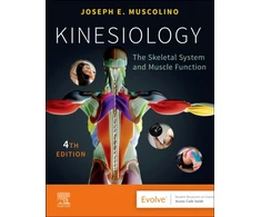KNYGA Joseph E. Muscolino DC Kinesiology