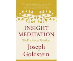 KNYGA Joseph Goldstein Insight Meditation