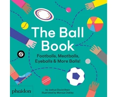 KNYGA Joshua David Stein Ball Book, Footballs, Meatballs, Eyeballs &amp; More Balls!