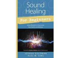KNYGA Joshua Goldman Sound for Beginners