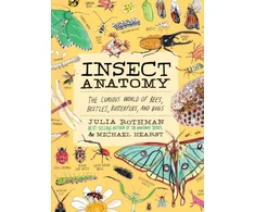 KNYGA Julia Rothman Insect Anatomy