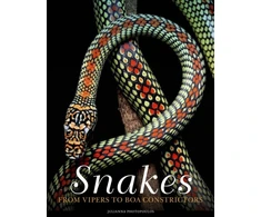 KNYGA Julianna Photopoulos Snakes