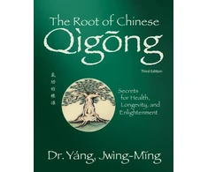KNYGA Jwing Ming Yang Root of Chinese Qigong