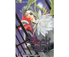 KNYGA Kanoko Sakurakoji Juodas Bird, Vol. 11