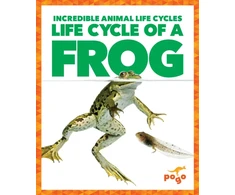 KNYGA Karen Latchana Kenney Life Cycle of a Frog