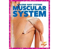 KNYGA Karen Latchana Kenney Muscular System