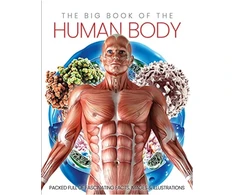 KNYGA Katharine Marsh Big Book of the Human body