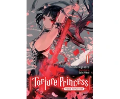 KNYGA Keishi Ayasato Torture Princess: Fremd Torturchen, Vol. 1 (light novel)
