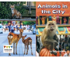 KNYGA Kelly Gaffney Animals in the City