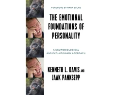 KNYGA Kenneth L Davis The Emotional Foundations of Personality