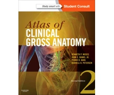 KNYGA Kenneth P Moses Atlas of Clinical Gross Anatomy