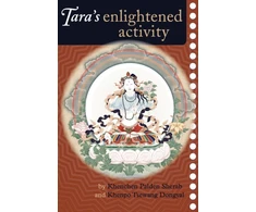 KNYGA Khenchen Palden Sherab, Palden Sherab Khenchen Tara's Enlightened Activity