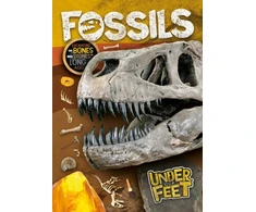 KNYGA Kirsty Holmes Fossils