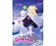 KNYGA Kisetsu Morita I've Been Killing Slimes for 300 Years and Maxed Out My Level, Vol. 13