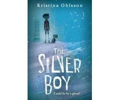 KNYGA Kristina Ohlsson The Sidabrinis Boy
