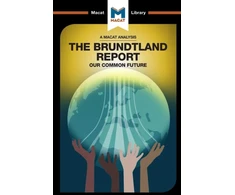 KNYGA Ksenia Gerasimova Analysis of The Brundtland Commission's Our Common Future