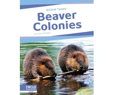 KNYGA Laura Perdew Beaver Colonies
