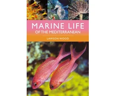 KNYGA Lawson Wood Marine Life of the Mediterranean