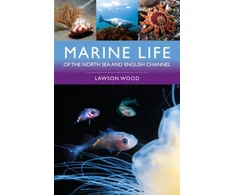KNYGA Lawson Wood Marine Life of the North Sea and English Channel
