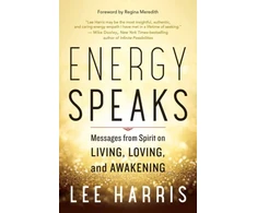 KNYGA Lee Harris Energy Speaks