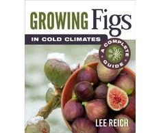 KNYGA Lee Reich Growing Figs in Cold Climates