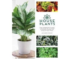 KNYGA Lisa Eldred Steinkopf Houseplants