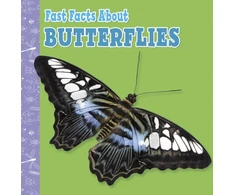 KNYGA Lisa J Amstutz Fast Facts About Butterflies
