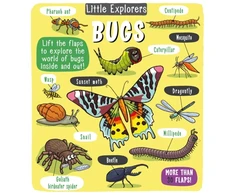 KNYGA Little Bee Books Little Explorers: Bugs