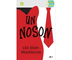 KNYGA Llio Maddocks Stori Sydyn: Un Noson