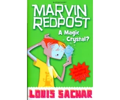 KNYGA Louis Sachar A Magic Crystal?
