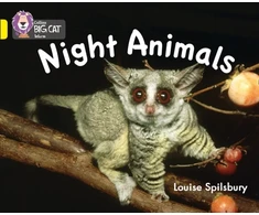 KNYGA Louise Spilsbury Night Animals
