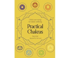 KNYGA Lucy Lee Practical Chakras