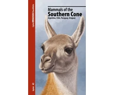 KNYGA Lynx Edicions Mammals of the Southern Cone