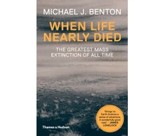 KNYGA M J Benton When Life Nearly Died