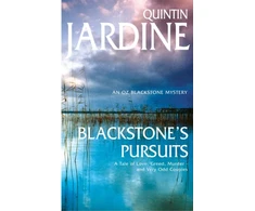 KNYGA M Reid Blackstone's Pursuits (Oz Blackstone series, Book 1)