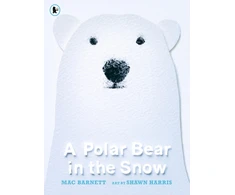 KNYGA Mac Barnett Polar Bear in the Snow