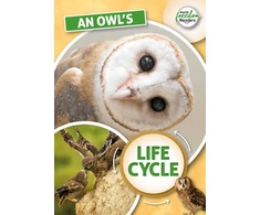 KNYGA Madeline Tyler; Danielle Rippengill Owl's Life Cycle