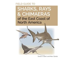 KNYGA Marc Dando Field Guide to Sharks, Rays and Chimaeras of the East Coast of North America