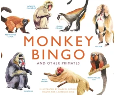 KNYGA Marcel George Monkey Bingo