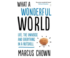 KNYGA Marcus Chown What a Wonderful World