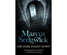 KNYGA Marcus Sedgwick Dark Flight Down