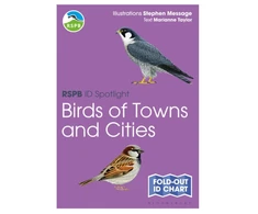 KNYGA Marianne Taylor RSPB ID Spotlight - Birds of Towns and Cities