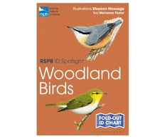 KNYGA Marianne Taylor RSPB ID Spotlight - Woodland Birds