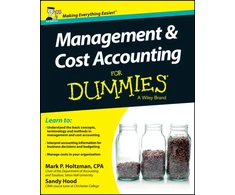 KNYGA Mark P Holtzman Management and Cost Accounting For Dummies - UK