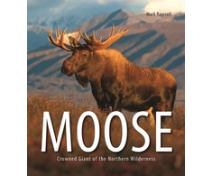 KNYGA Mark Raycroft Moose