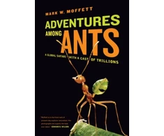 KNYGA Mark W Moffett Adventures among Ants